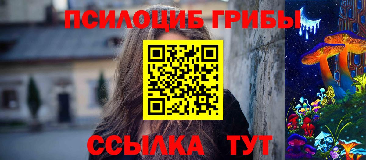 Петрозаводск  Псилоцибиновые грибы Cubensis  закладка  Вход с VPN 